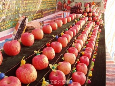 正宁苹果，甘肃省庆阳特产正宁苹果图文介绍