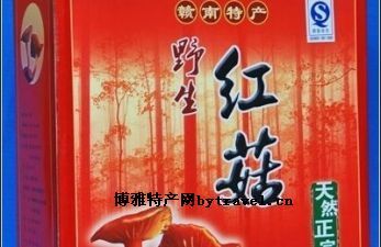 野生红菇，江西赣州特产野生红菇图文介绍