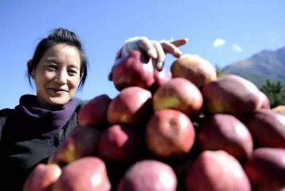 林芝苹果，西藏林芝特产林芝苹果图文介绍